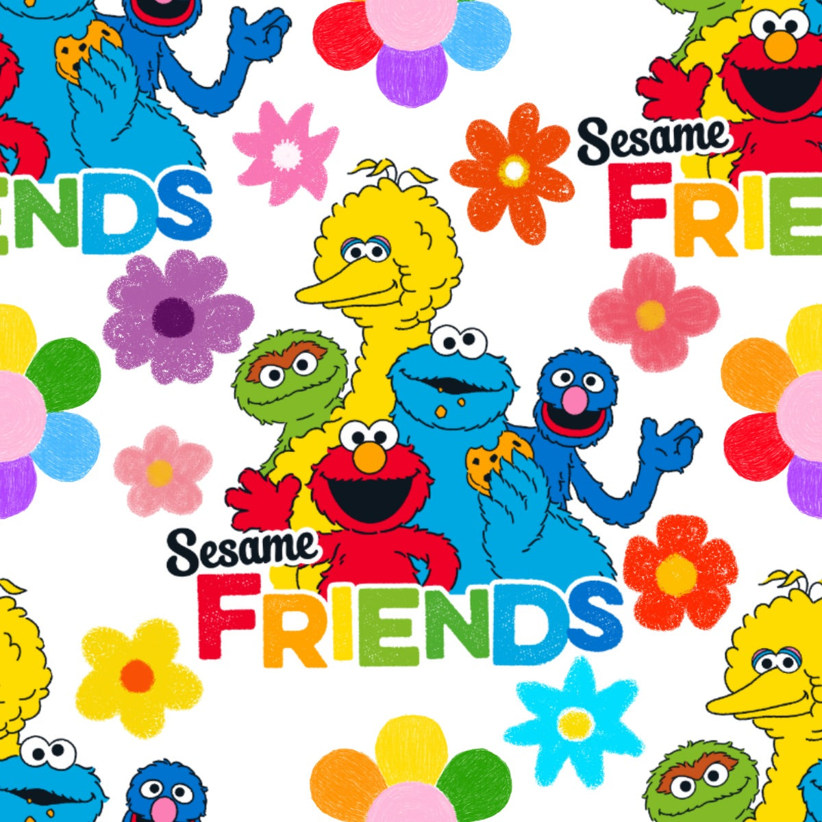 Sesame friends lounge set ELS